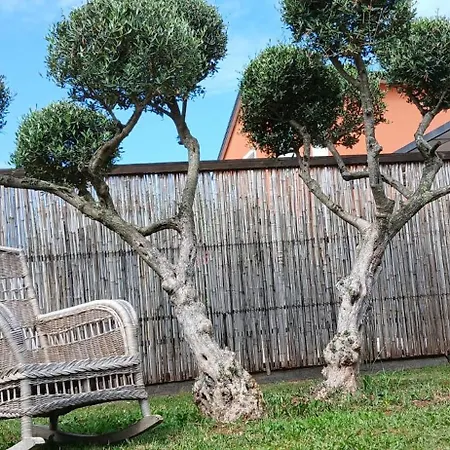 Apartman Dino Mit Privatem Pool In Istrien